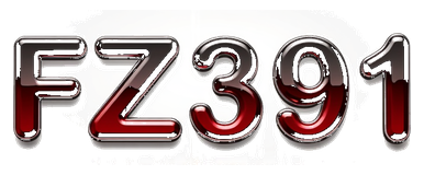 fz391 logo